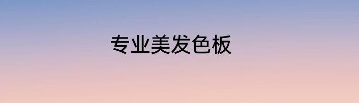 专业美发色板