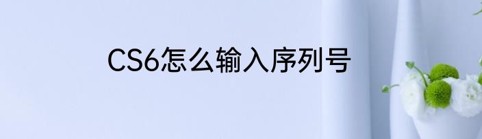 CS6怎么输入序列号