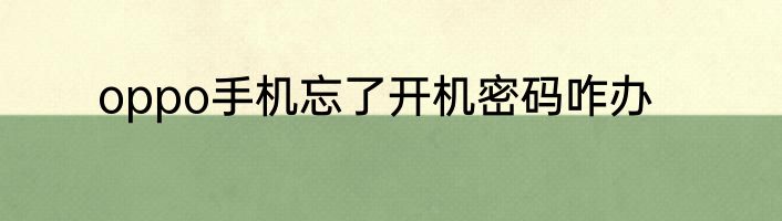 oppo手机忘了开机密码咋办
