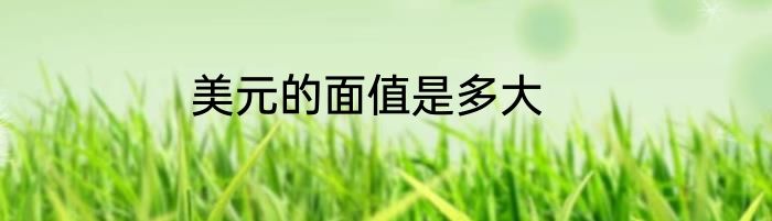 美元的面值是多大