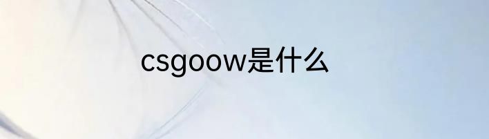 csgoow是什么