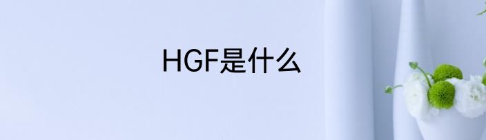 HGF是什么