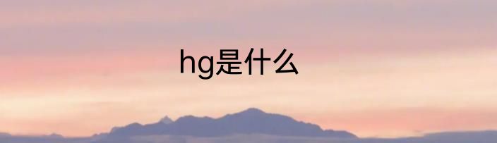 hg是什么