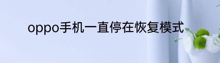 oppo手机一直停在恢复模式