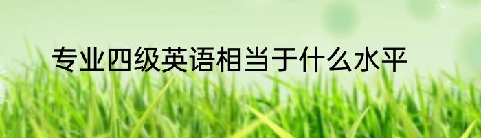 专业四级英语相当于什么水平
