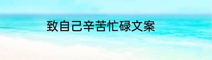 致自己辛苦忙碌文案