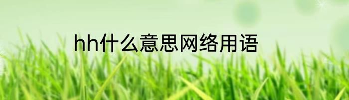 hh什么意思网络用语