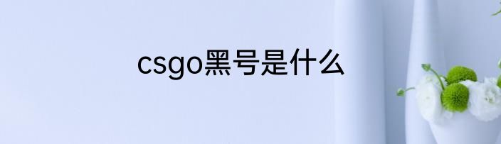 csgo黑号是什么