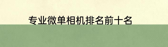 专业微单相机排名前十名