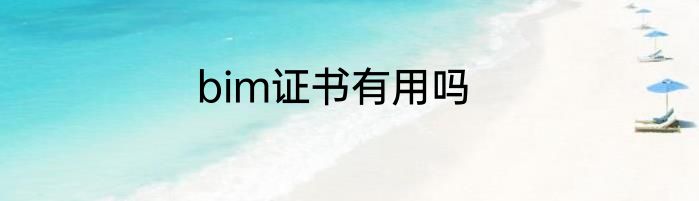 bim证书有用吗