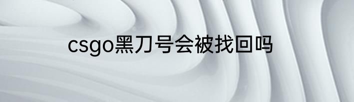 csgo黑刀号会被找回吗