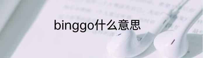 binggo什么意思