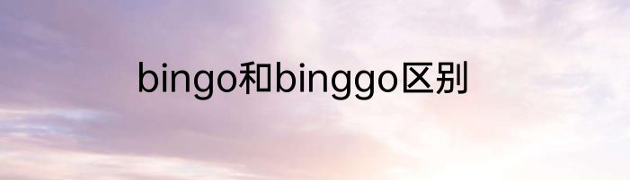 bingo和binggo区别