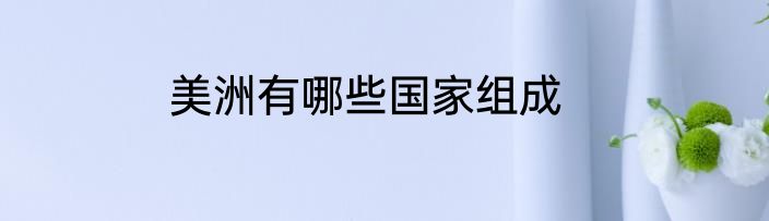 美洲有哪些国家组成