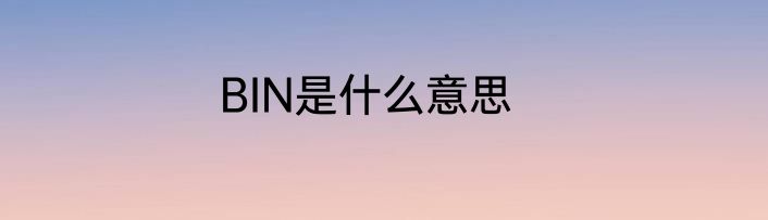 BIN是什么意思