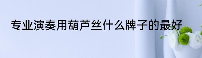 专业演奏用葫芦丝什么牌子的最好