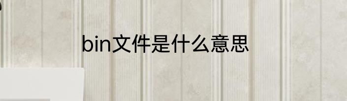 bin文件是什么意思