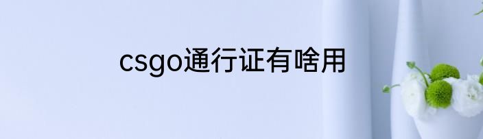 csgo通行证有啥用