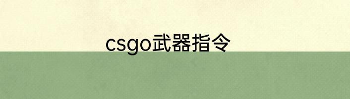 csgo武器指令