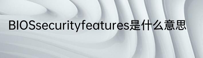 BIOSsecurityfeatures是什么意思
