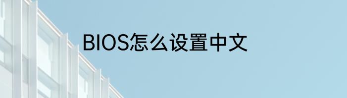 BIOS怎么设置中文