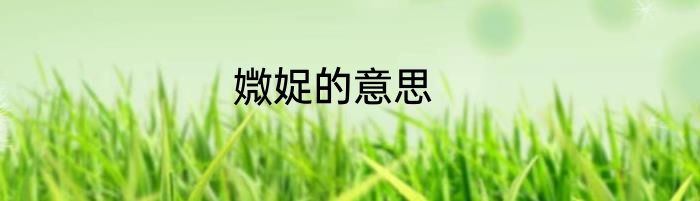 媺娖的意思