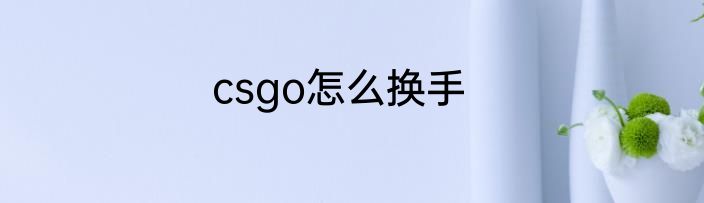 csgo怎么换手