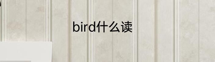 bird什么读