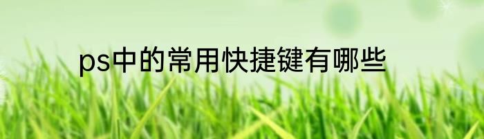 ps中的常用快捷键有哪些