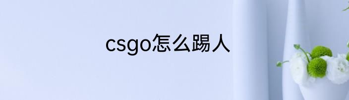 csgo怎么踢人