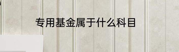 专用基金属于什么科目