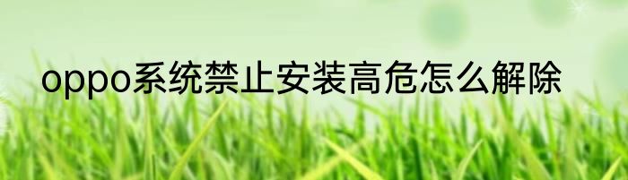 oppo系统禁止安装高危怎么解除