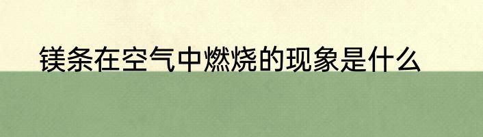 镁条在空气中燃烧的现象是什么