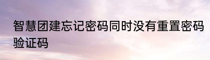 智慧团建忘记密码同时没有重置密码验证码