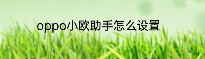 oppo小欧助手怎么设置