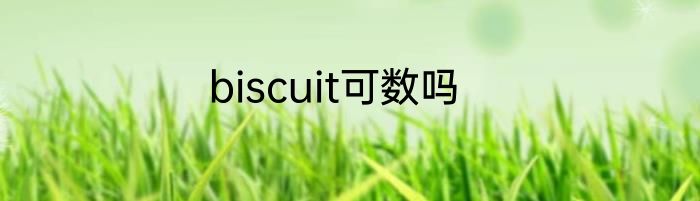 biscuit可数吗