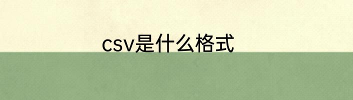 csv是什么格式