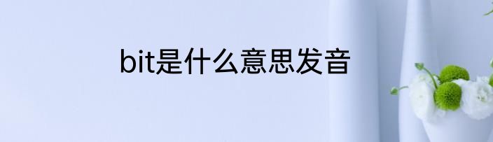 bit是什么意思发音