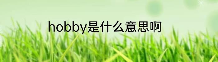 hobby是什么意思啊