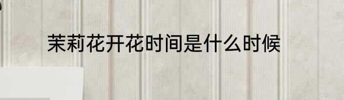 茉莉花开花时间是什么时候
