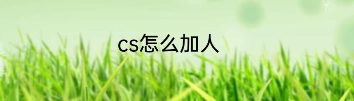 cs怎么加人