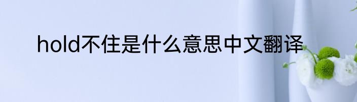 hold不住是什么意思中文翻译