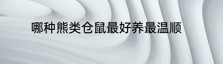 哪种熊类仓鼠最好养最温顺