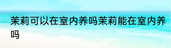 茉莉可以在室内养吗茉莉能在室内养吗
