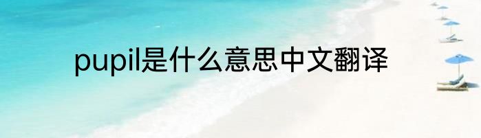 pupil是什么意思中文翻译