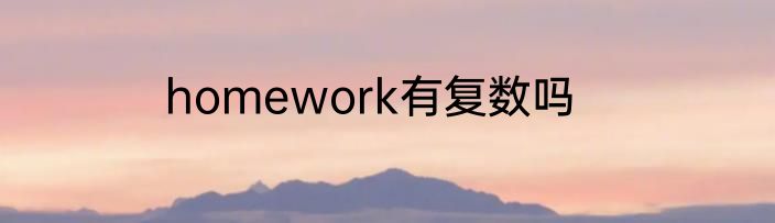homework有复数吗