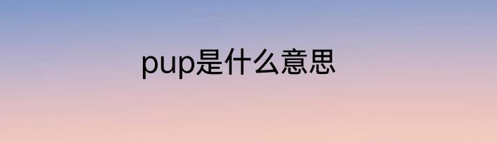 pup是什么意思