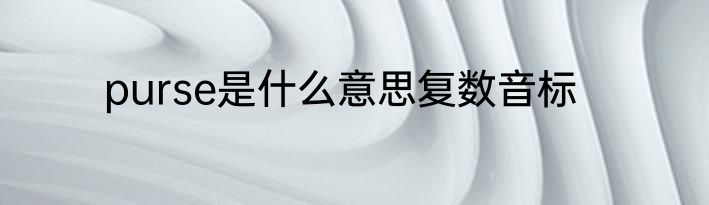 purse是什么意思复数音标