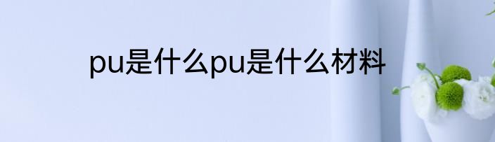 pu是什么pu是什么材料