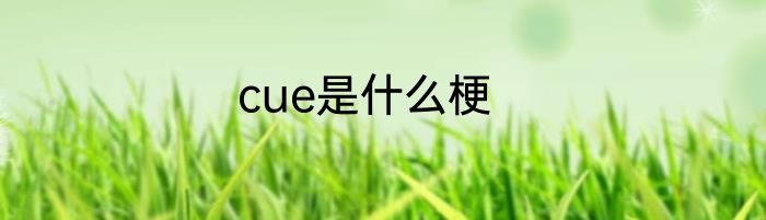 cue是什么梗